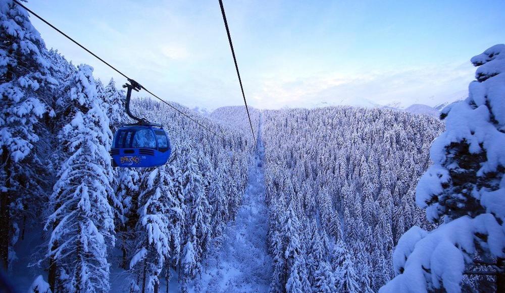 Green Life Bansko, 1 Bedroom Private Apartment D4 エクステリア 写真